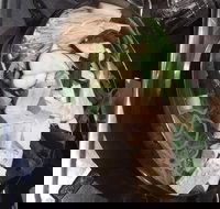 Seoul Buffet Korean BBQ  Steamboat - Victoria Park - New South Wales Tourism 