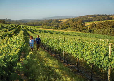 Wills Domain - New South Wales Tourism  0