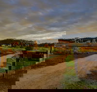 Baarmutha Wines - New South Wales Tourism 