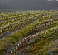 Cape Grace Wines - New South Wales Tourism 