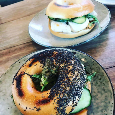 Church Of Secular Coffee - New South Wales Tourism  0