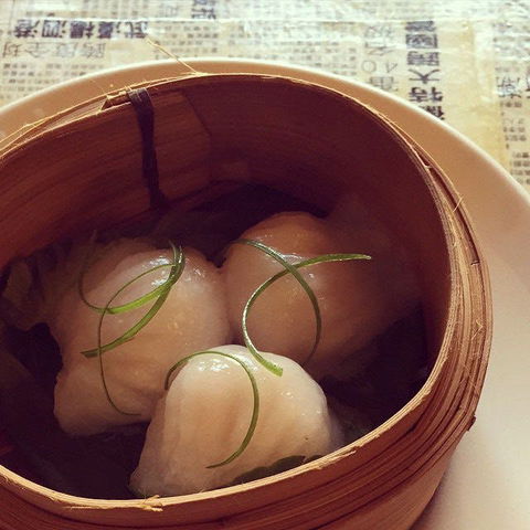 Dumplings & Beer - Potts Point - New South Wales Tourism  0