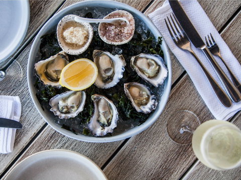 North Bondi Fish - New South Wales Tourism  0