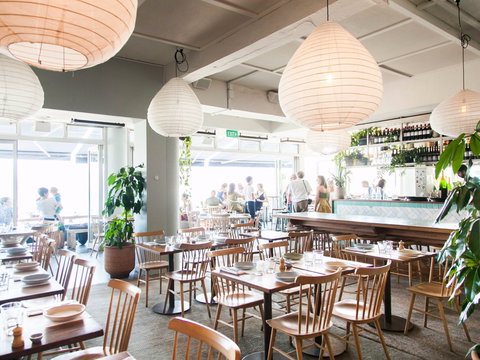 North Bondi Fish - New South Wales Tourism  1