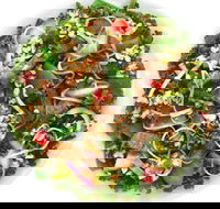 Sumo Salad - Glebe - New South Wales Tourism 