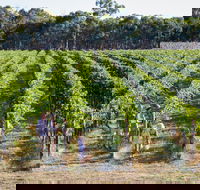 Weathercraft Wines - New South Wales Tourism 