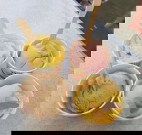 Delizia Gelato and Sorbet - New South Wales Tourism 