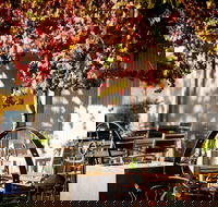 Jones Winery  Vineyard