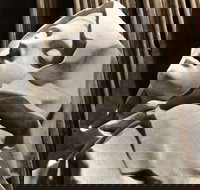 KFC - Joondalup - New South Wales Tourism 