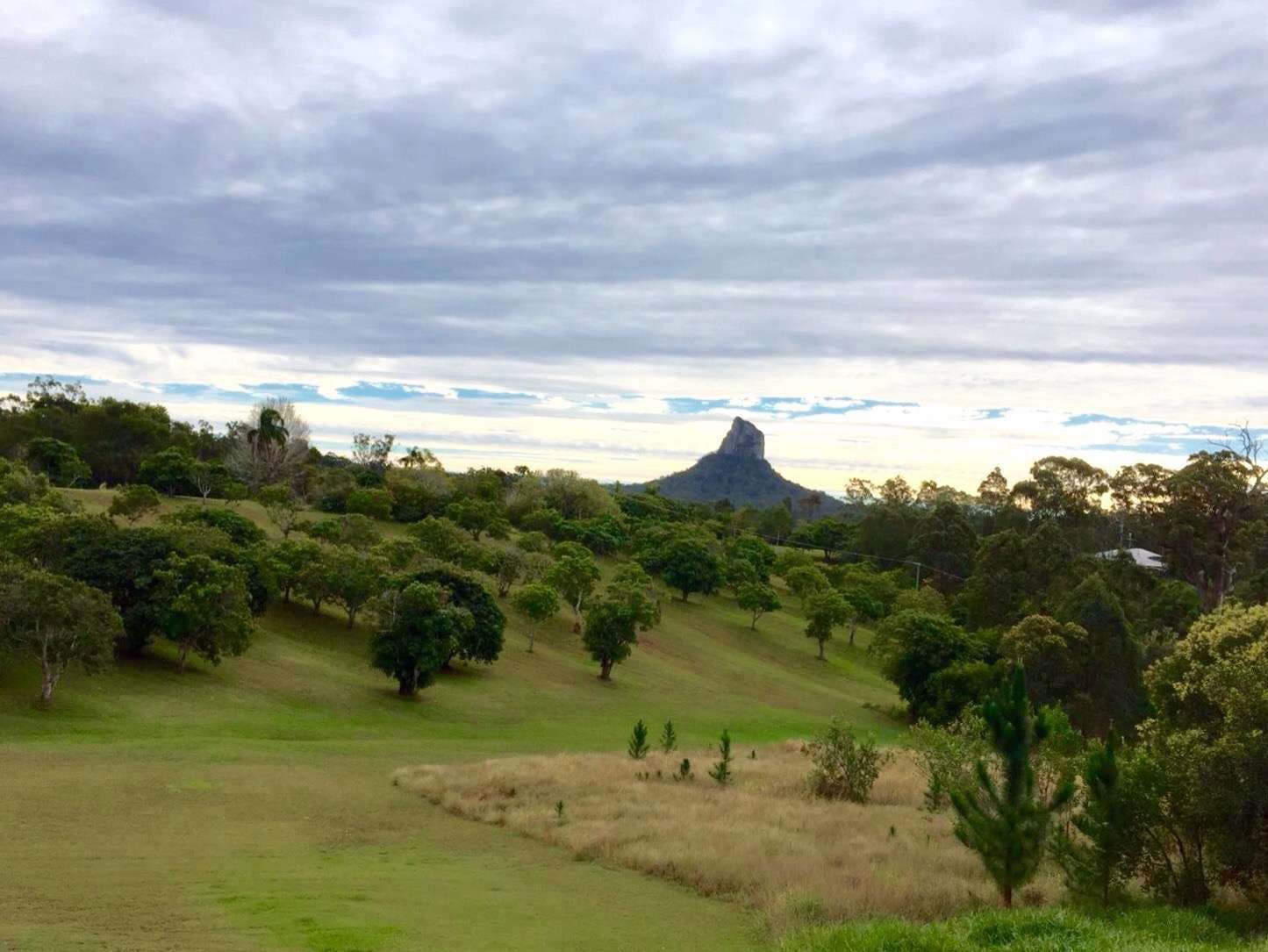 Beerwah QLD New South Wales Tourism 
