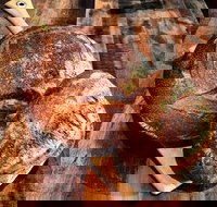 Mr Espresso - Ramsgate - New South Wales Tourism 