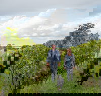 Ross Hill Wines - New South Wales Tourism 