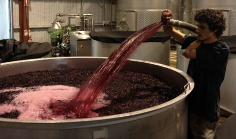 Ross Hill Wines - New South Wales Tourism  2