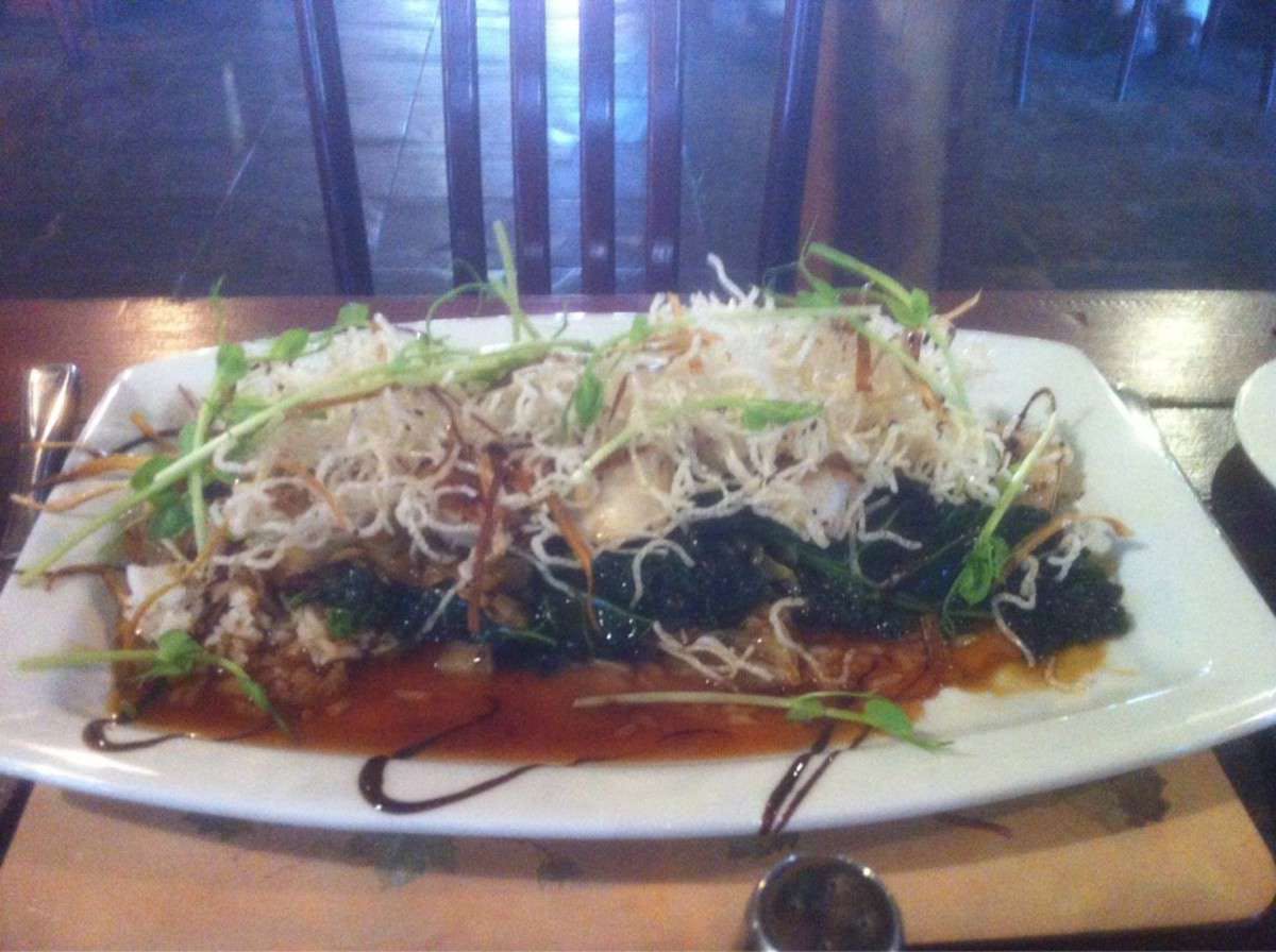 Walyunga National Park WA New South Wales Tourism 