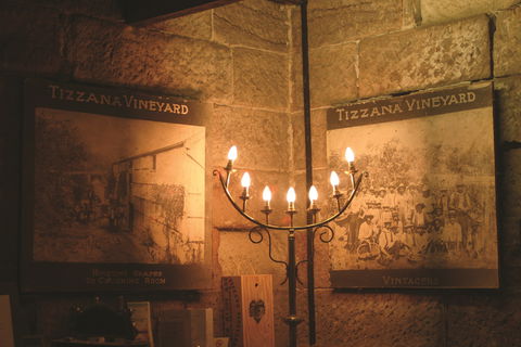 Tizzana Winery - New South Wales Tourism  1