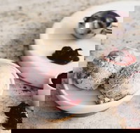 Gelatissimo - Cronulla - New South Wales Tourism 