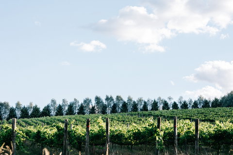 Passing Clouds - New South Wales Tourism  1