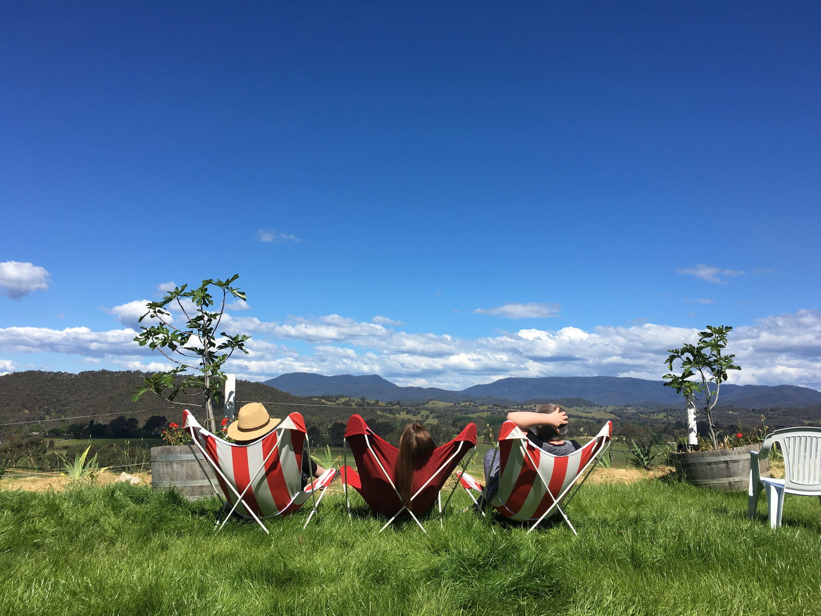 King Valley VIC New South Wales Tourism 