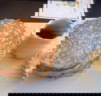 Steel Tree  Settlers - New South Wales Tourism 