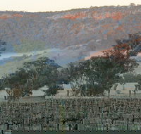 Wilksch Estate Wines - New South Wales Tourism 