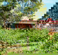 Barangaroo Boutique Wines - New South Wales Tourism 