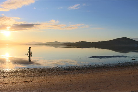 Barilla Bay Oysters - New South Wales Tourism  2