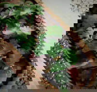 Kapela Fish and Chips - New South Wales Tourism 