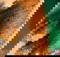 Kappaya - New South Wales Tourism 