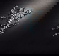 PJ O'Reilly's Irish Pub - New South Wales Tourism 