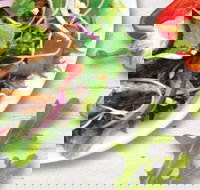 Sumo Salad - South Brisbane - New South Wales Tourism 