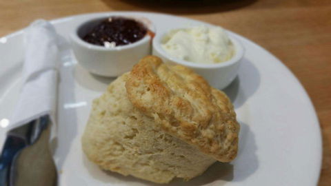 Courtyard Cafe - New South Wales Tourism  0