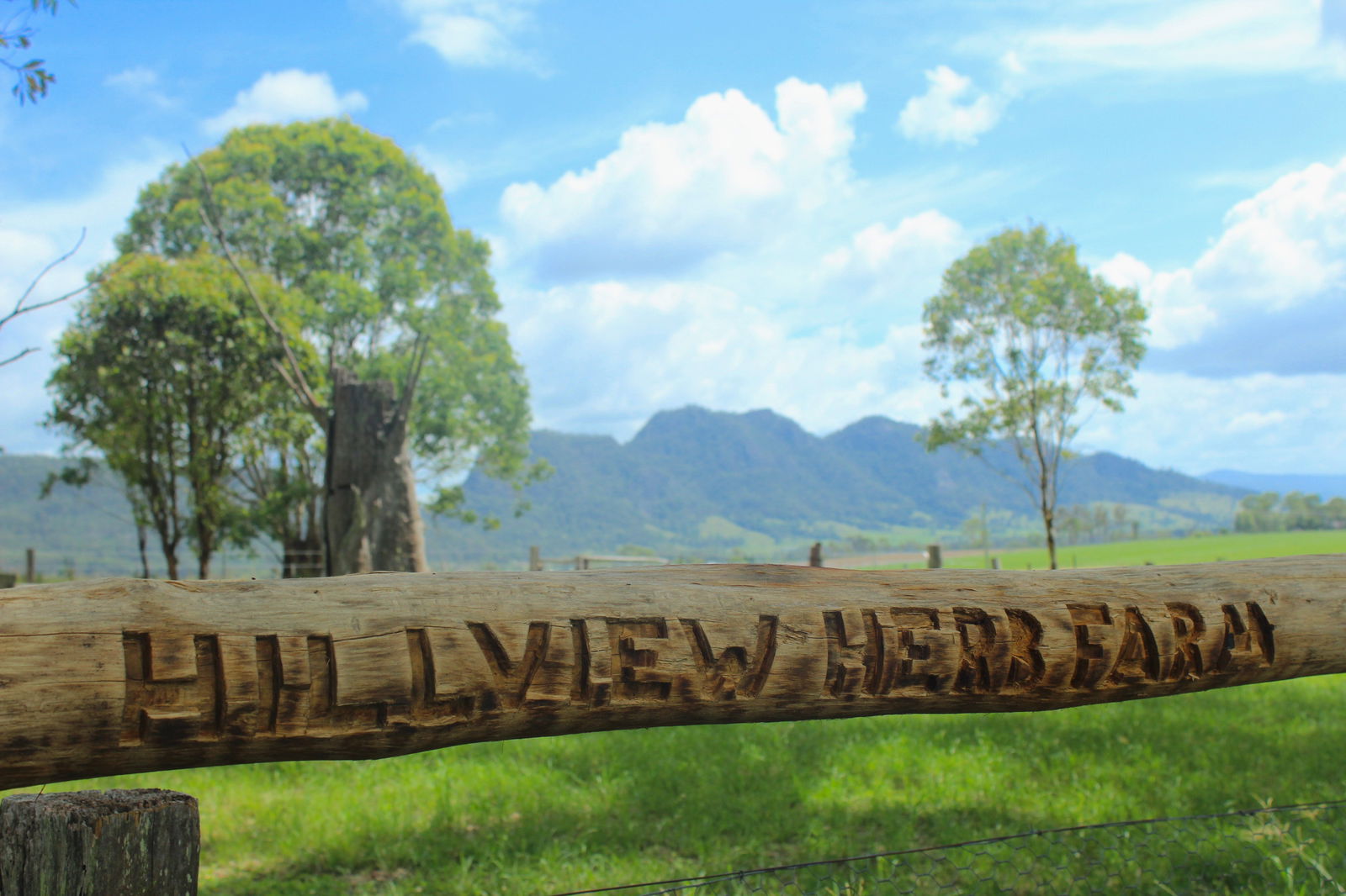 Forbesdale NSW New South Wales Tourism 