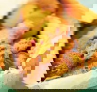 Mrs. Fields - Joondalup - Joondalup - New South Wales Tourism 