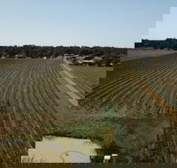 Wine in a Glass - New South Wales Tourism 