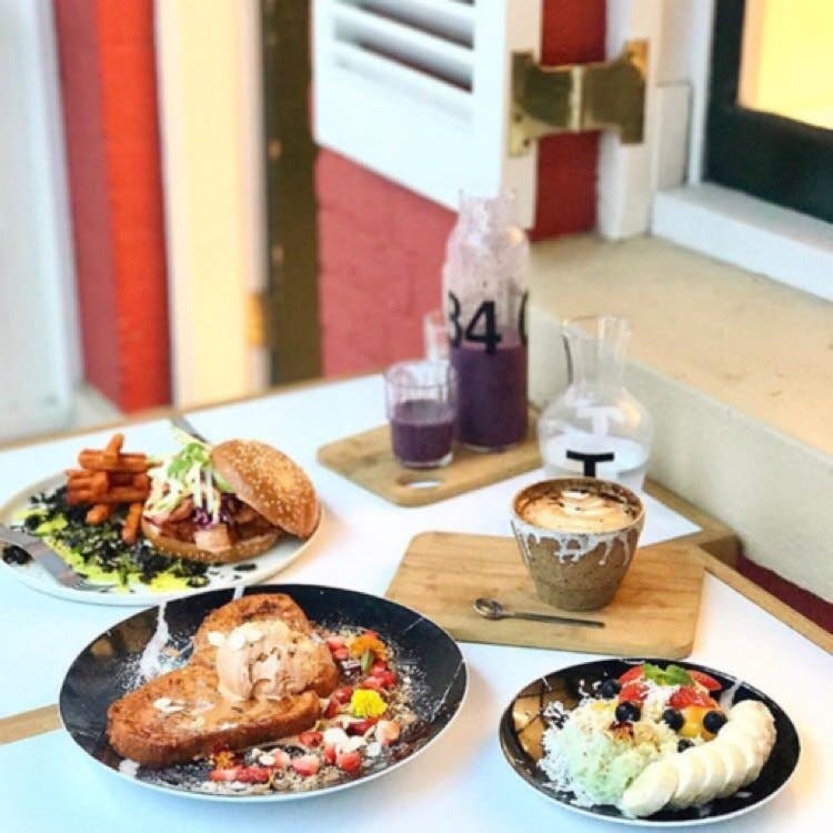 Chippendale NSW New South Wales Tourism 