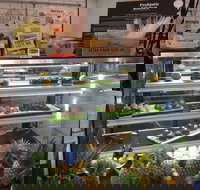 Green Grotto - New South Wales Tourism 