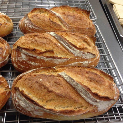 Harvest Boulangerie Patisserie - New South Wales Tourism  0