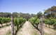 Mount Macedon Winery - thumb 1