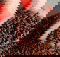 Zokoko Chocolate and Espresso Cafe - New South Wales Tourism 