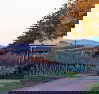 Rowlee Wines - New South Wales Tourism 