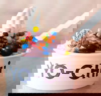 Yo-Chi Frozen Yogurt - Hawthorn - New South Wales Tourism 
