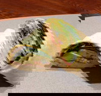 Wrap N Roll - Helensvale - New South Wales Tourism 