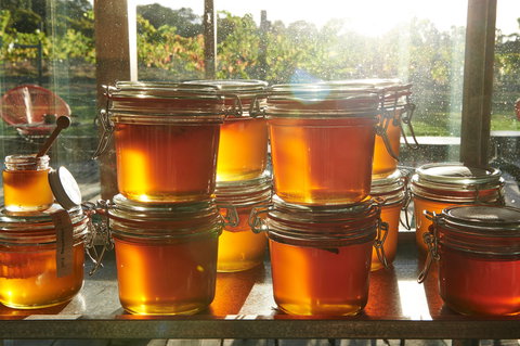 Barnyard1978 - New South Wales Tourism  2