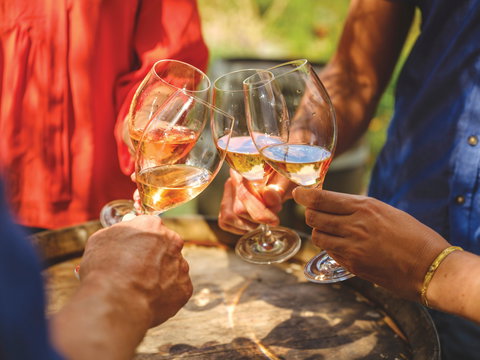 Due Jolly Winery - New South Wales Tourism  0