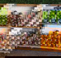 Melonhead - New South Wales Tourism 