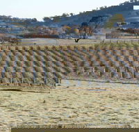 Patina Wines - New South Wales Tourism 