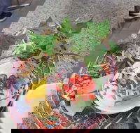 Pho Hung Vuong Springvale