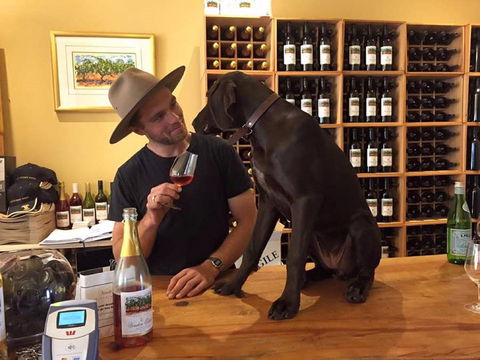 Vinden Estate Wines - New South Wales Tourism  1