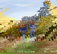 WayWood Wines - New South Wales Tourism 