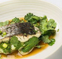 The Mossy Cafe - New South Wales Tourism 